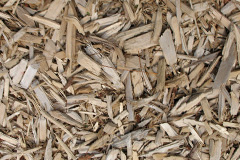 biomass boilers Hoofield